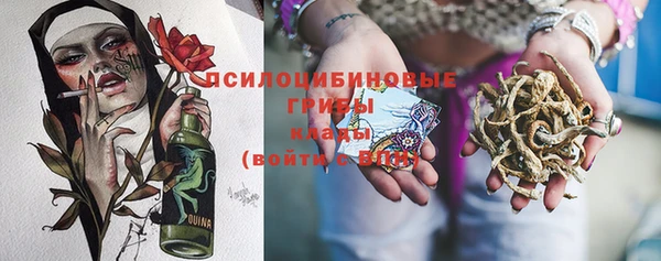 ECSTASY Инта
